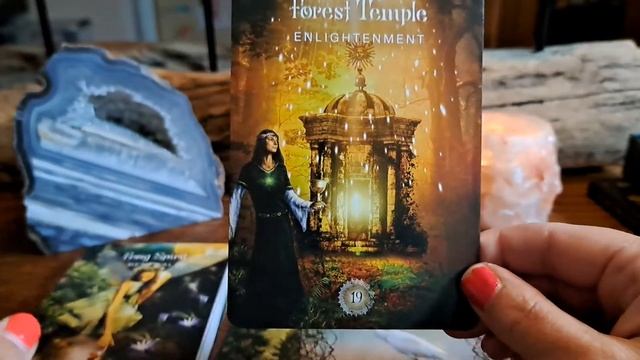 The Sacred Forest Oracle ✨️unboxing✨️ смотреть онлайн