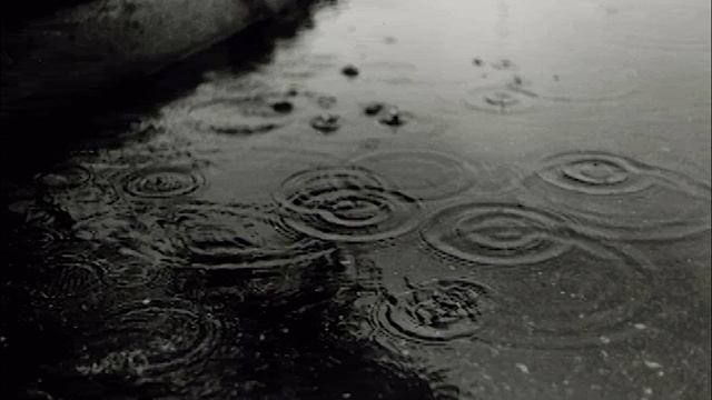 Nature Sounds - Rain Calm Relax