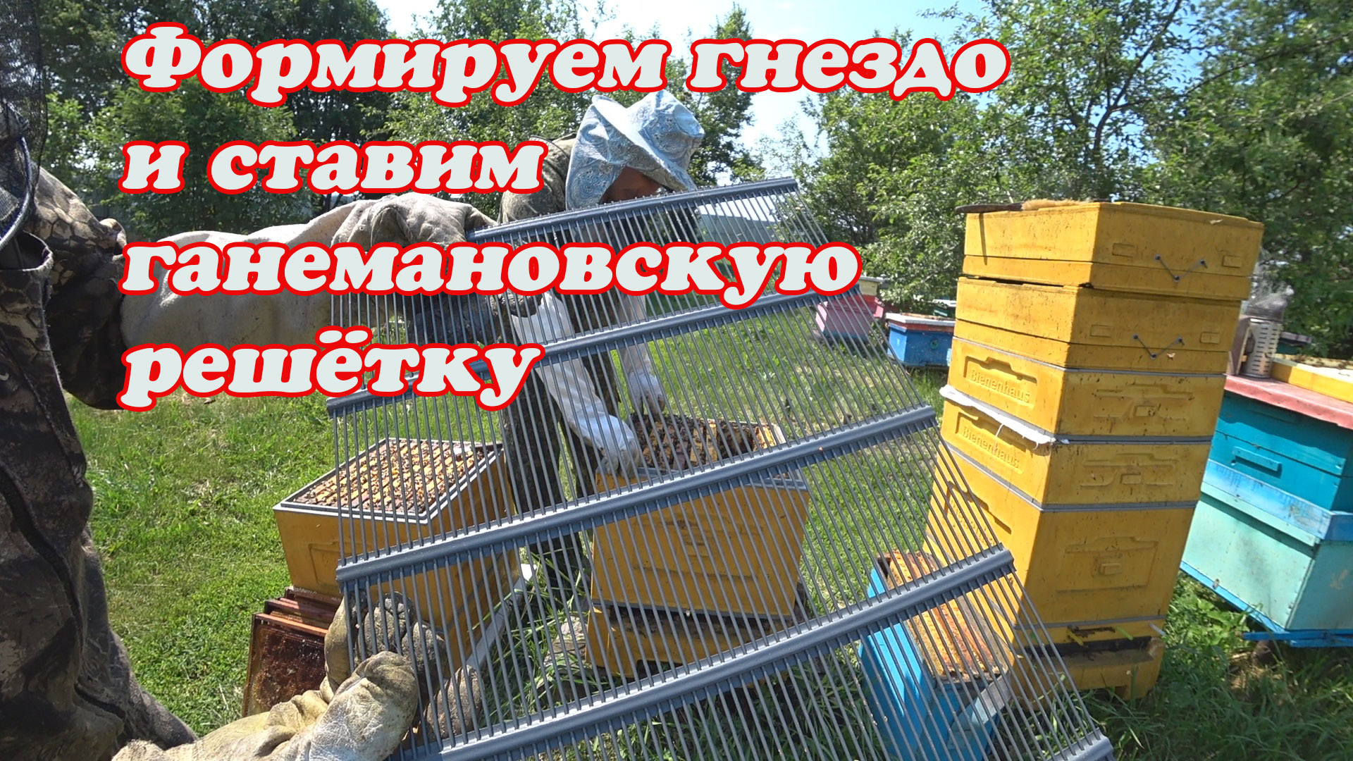 ФОРМИРОВАНИЕ УЛЬЯ ППУ ПЕРЕД ГЛАВНЫМ МЕДОСБОРОМ, СТАВИМ РЕШЁТКУ. смотреть онлайн