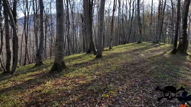 Коп в Сочи смотреть онлайн