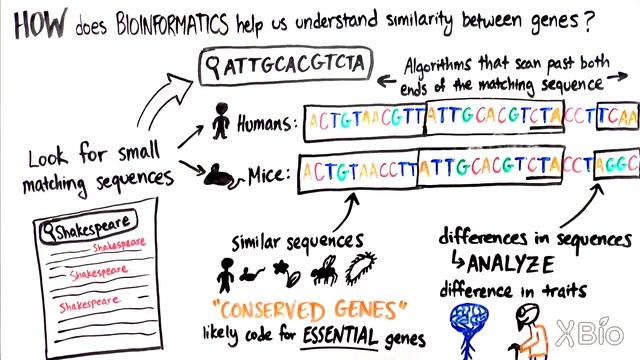 What is Bioinformatics? смотреть онлайн