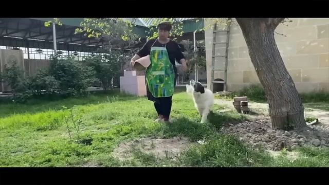 We Cooked BIG FISH In The Wood Stove! Village Life