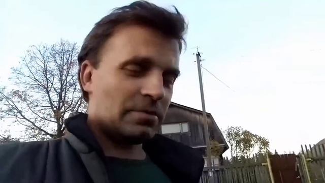 Сколько весит гусь. Потрошение, вес гуся. 
#папанадаче