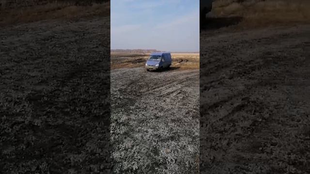 Сока нет, а газель утопили смотреть онлайн