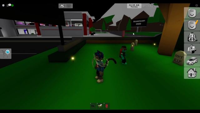 БРУКХЭВЕН РП РОБЛОКС / Brookhaven RP Roblox / Новое расследование.22# смотреть онлайн