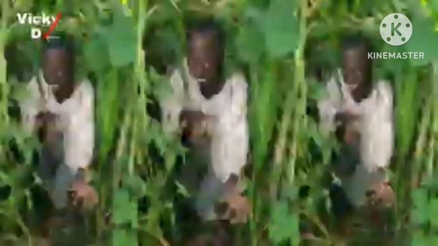 Tanga Tanga New Viral Song Funny 🤣🤣🤣🤣