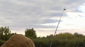 Ловлю КАРАСЯ на ПЕЧЕНЬ, САЛО и КОЛБАСУ! Рыбалка по СОВЕТУ от ПОДПИСЧИКА!