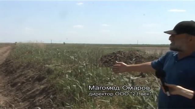 ооо 21 век смотреть онлайн