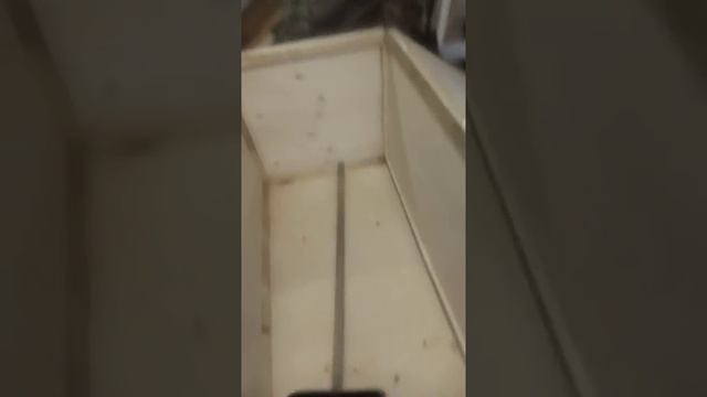 Ящик для лопат и других принадлежностей смотреть онлайн