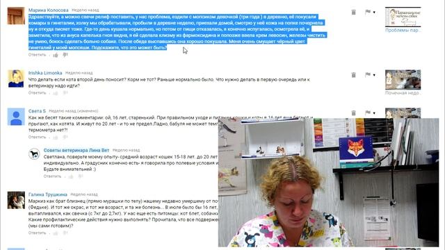 Как приучить к лотку, когда глистогонить собак? Ветеринар отвечает № 3-1 смотреть онлайн