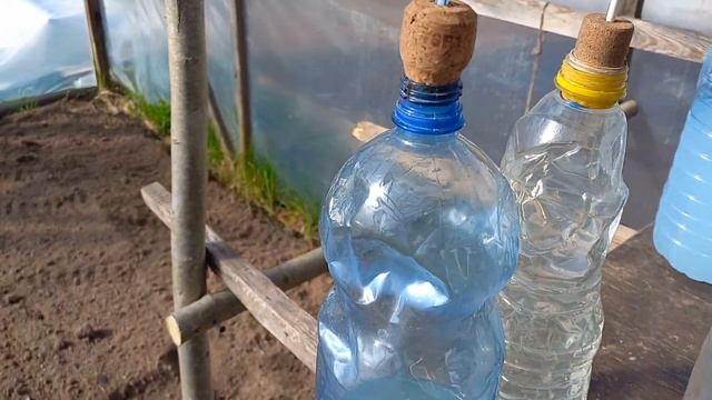 приспособа для полива рассады,помидоры,перцы,баклажаны...