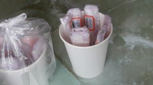 Посадка помидор в пеленки 4 марта 2022