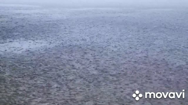 Исцеляющий сон под шум дождя!Природное исцеление бессонницы!?? смотреть онлайн