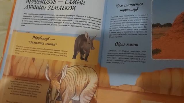 Африка и Мадагаскар. Невероятная книга о животных. #животные #читаемкниги #энциклопедия #динозавры