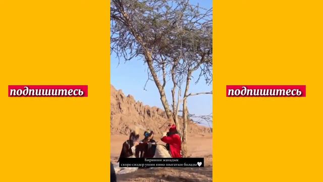 ✅Толпа дома😍Египет! | Все блогеры здесь смотреть онлайн