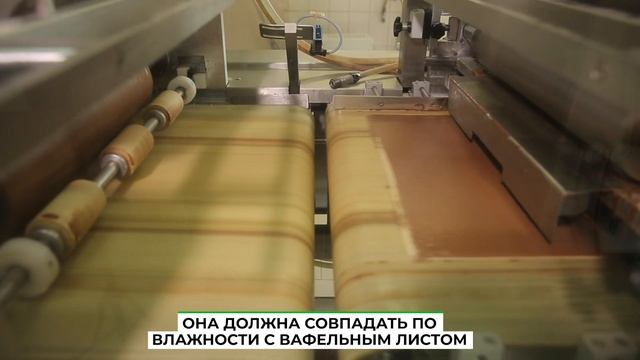 Подсмотрено. Вафли смотреть онлайн