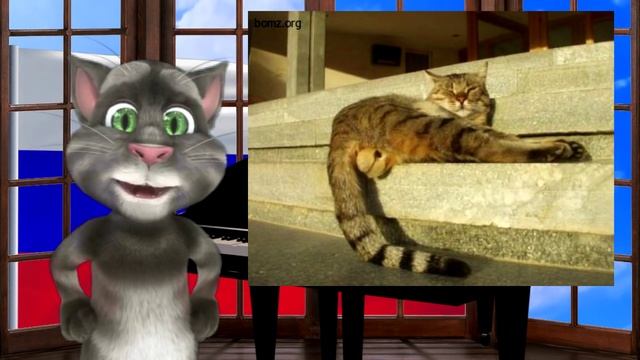 Русский Кот - Все что в жизни есть у меня смотреть онлайн