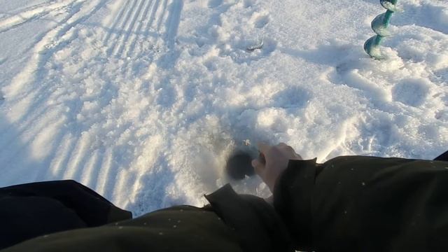 Клюет ли елец в обед? / Томь, елец, мороз и солнце...