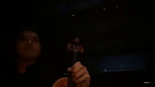 “White Swan” violin solo from Swan Lake by Tchaikovsky. Chan Yoong Han, violin. смотреть онлайн