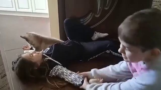 ХАСКИ ГРАФ В НОВОМ ДОМЕ смотреть онлайн