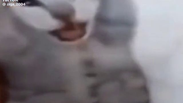 Утро понедельника 😂 смотреть онлайн