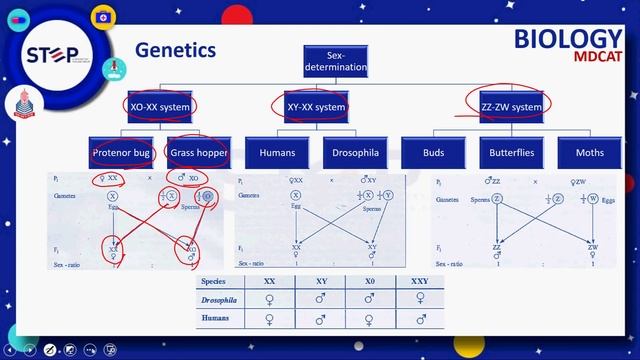Genetics e,f,g,h,i & j смотреть онлайн