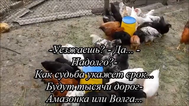 Хлеб всему голова! смотреть онлайн