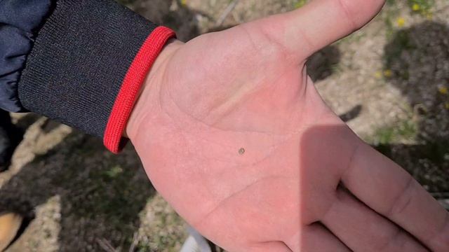 Сад Камней. Койташ. Узбекистан смотреть онлайн