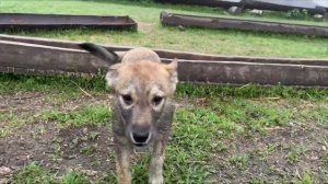 Платный пруд в Тамбовской области с.Хоботово