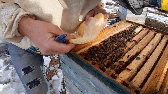 Аварийное вмешательство в улей зимой. смотреть онлайн