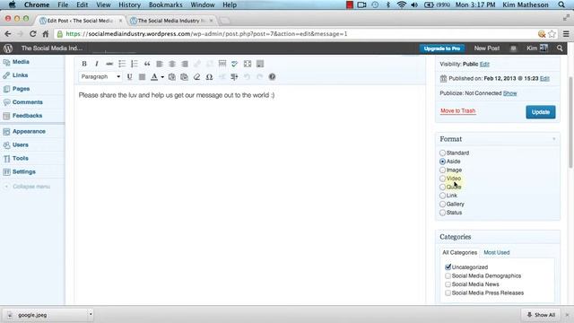 Wordpress Custom Widgets - Video 33 смотреть онлайн