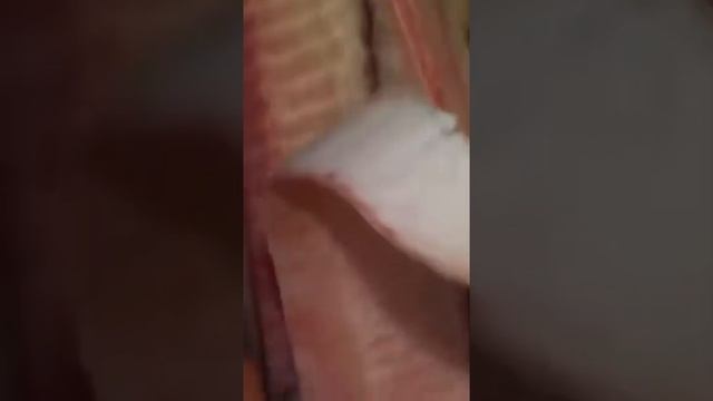 ? Какой рацион питания нужен, чтобы выжить в тундре смотреть онлайн