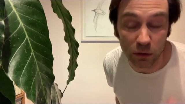 Срочное сообщение от Уильяма! Читаем описание к видео! смотреть онлайн