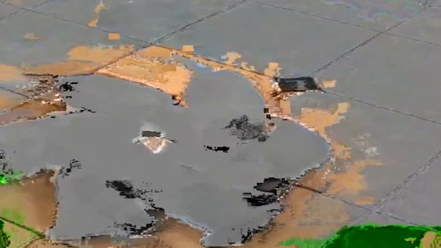 ЩЕНЯЧИЙ ХОРОВОД смотреть онлайн