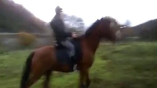 vivi marie kempton et amine смотреть онлайн