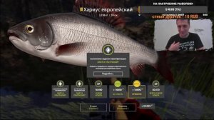 Трофейный Хариус на Белой. Хариус европейский. Река Белая. Троф в РР4. Русская Рыбалка 4. RF4. ВПК.