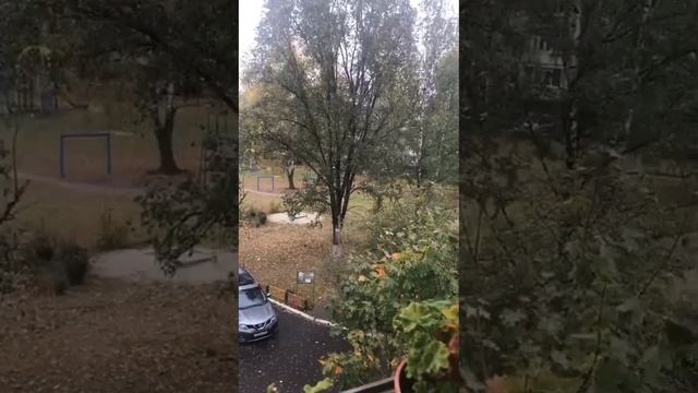 8 октября 2023 г. #lenaleto #снег #первыйснег #москва #питер #москвасити смотреть онлайн