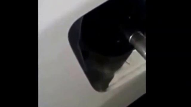 Тест [ТопливоДар] на Ниссан Жук . смотреть онлайн