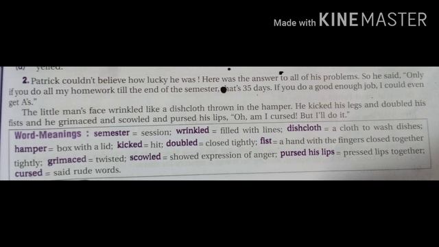 Class 6 Chapter 1 Who did Patrick's homework passage 2 смотреть онлайн