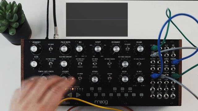 Moog Mother-32 Patch Idea || Blending Waveforms смотреть онлайн