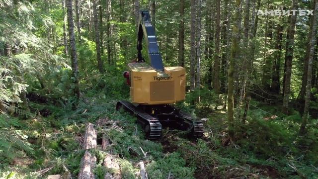 Гусеничный харвестер Tigercat LH822D