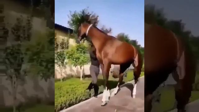 Без названия смотреть онлайн