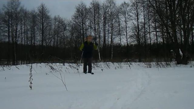 Fischer S-Bound Field Test