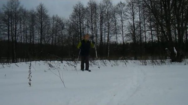 Fischer S-Bound field test