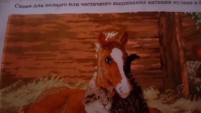 Канва с нанесенным рисунком. Вышивка крестиком. Процесс вышивки. Жеребенок и кот. смотреть онлайн