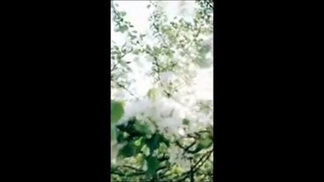 15-Minute Meditation For Self Love | Calm смотреть онлайн