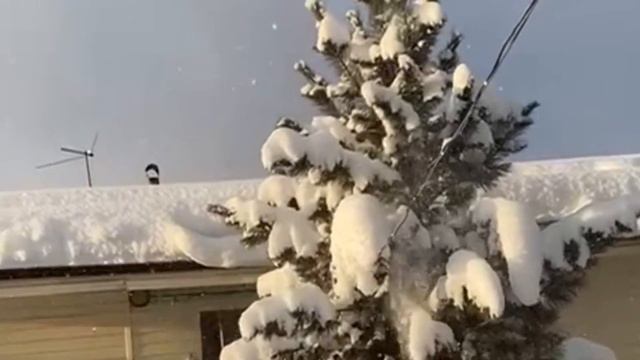 Б. Пастернак ( Снег идет …) скоро скоро Новый год 🎄 смотреть онлайн