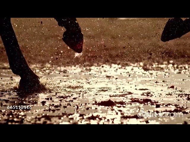 плюмаж смотреть онлайн