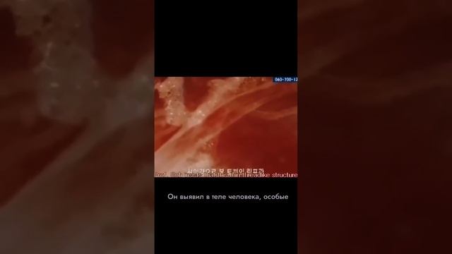 Энергетические каналы «маршруты» смотреть онлайн