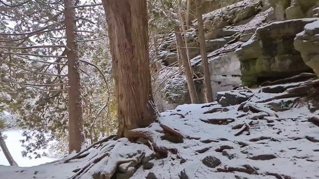 compress - T.U.O. смотреть онлайн